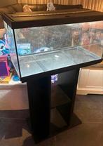 Auqarium, Ophalen of Verzenden, Gebruikt, Leeg aquarium