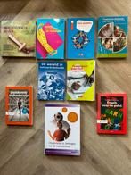 Te koop schoolboeken Pabo voltijd, Boeken, Verzenden, Zo goed als nieuw, Overige niveaus