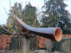 Te koop: Didgeridoo,  berk ,bizonder volle klank., Muziek en Instrumenten, Ophalen of Verzenden