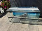 Terarrium, Dieren en Toebehoren, Reptielen en Amfibieën | Toebehoren, Ophalen, Gebruikt, Terrarium of Paludarium