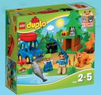 Duplo Bos vistochtje (10583), Ophalen, Zo goed als nieuw, Complete set, Duplo