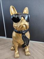 GROOT BULLDOG DECO BEELD , NIEUW , BRIL , HOND, Ophalen, Nieuw, Dier