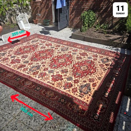 Groot Tapijt - 250cm x 350cm, Huis en Inrichting, Stoffering | Tapijten en Kleden, Zo goed als nieuw, 200 cm of meer, 200 cm of meer