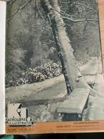 Katholieke Illustratie 1e halfjaar 1951, Ophalen of Verzenden, 1940 tot 1960, Tijdschrift