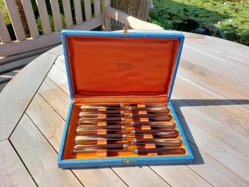 Coutellerie Micheron | cassette met 12 mesjes beschikbaar voor biedingen