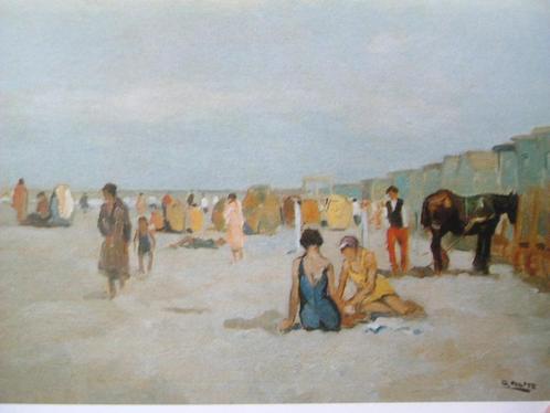 Cor Noltee breed gezien., Boeken, Kunst en Cultuur | Beeldend, Zo goed als nieuw, Schilder- en Tekenkunst, Ophalen of Verzenden