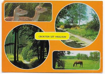 Heelsum  Gelopen  Ansichtkaart (B5903) beschikbaar voor biedingen