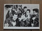 ROCK AND ROLL  ongelopen, Verzamelen, Ophalen, 1940 tot 1960, Sterren en Beroemdheden