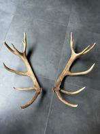 Geweien - Decoratief, Huis en Inrichting, Ophalen, Zo goed als nieuw