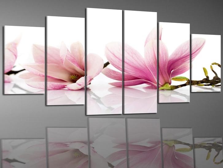 Nieuw 6 Luik Canvas Schilderij Roze Magnolia Bloemen 250x100, Huis en Inrichting, Woonaccessoires | Schilderijen, Tekeningen en Foto's