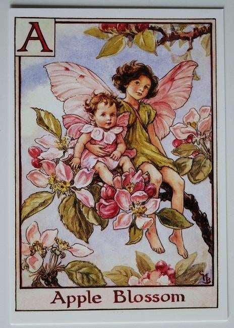 Flower Fairies, the apple blossom fairies, nieuw, 584-001, Ophalen of Verzenden, 1980 tot heden, Ongelopen, Overige thema's