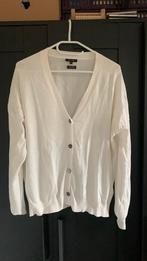 Massimo dutti vest maat medium, Maat 38/40 (M), Wit, Ophalen of Verzenden, Zo goed als nieuw
