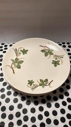 4x Dinerborden Villeroy & Boch, Ophalen