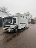 Volvo 5 paards paardenwagen 2009 automaat roelofsen ede, Automaat, Zwart, Wit, Diesel