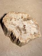 Versteend Hout Fossiel - Prachtig Stuk!  7, Ophalen of Verzenden, Fossiel