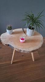 🌸 DIV BOOMSCHIJVEN HOUTSCHIJF BIJZETTAFEL SALONTAFEL HOUT, Ophalen