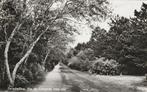 TERSCHELLING Via de Longway naar Zee, Verzamelen, Ansichtkaarten | Nederland, Verzenden, 1960 tot 1980, Gelopen, Waddeneilanden