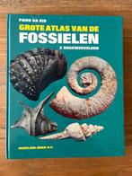 Grote atlas van de fossielen. 2 ongewervelden. Piero da Rio, Boeken, Natuur, Ophalen of Verzenden, Zo goed als nieuw, Piero da Rio