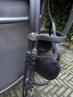 Men hoofdstel, Dieren en Toebehoren, Paarden en Pony's | Hoofdstellen en Tuigage, Ophalen, Gebruikt, Overige soorten