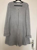 Sandwich lang grijs grof gebreid vest maat L, Kleding | Dames, Maat 42/44 (L), Ophalen of Verzenden, Zo goed als nieuw, Grijs