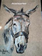 Aezelsuurkes - Gedichtenbundel in dialect, Boeken, Ophalen of Verzenden