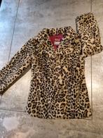 Mooie jas Persival maat 140 146, Kinderen en Baby's, Kinderkleding | Maat 140, Ophalen of Verzenden, Zo goed als nieuw, Meisje