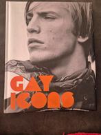 Gay icons Dyer Toksig, Ophalen of Verzenden, Zo goed als nieuw, Schilder- en Tekenkunst
