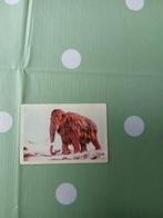 Vintage Verzamelaarplaatje Mammoet, Ophalen of Verzenden, Gebruikt, Dier en Natuur
