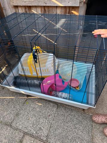 Knaagdier kooi ( rattenkooi) incl toebehoren beschikbaar voor biedingen
