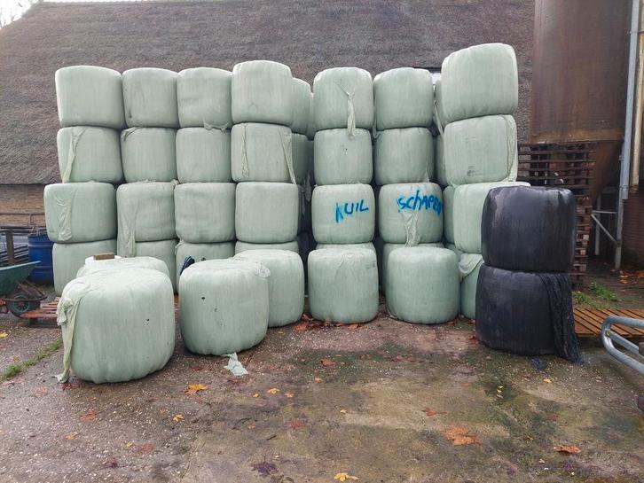 Midibalen hooi te koop, Dieren en Toebehoren, Dierenvoeding, Vee, Ophalen of Verzenden