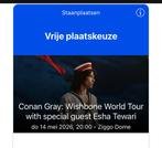 GOEDKOPER Conan Gray Wishbone amsterdam 14 mei 2026, Eén persoon, Mei