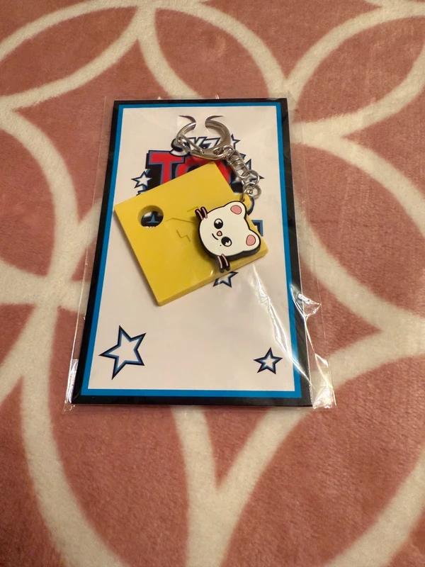 Stray Kids SKZOO SKZ Toy World Jiniret key chain, Ophalen of Verzenden