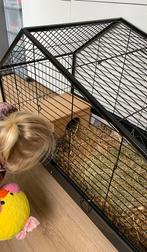 Knaagdieren hok, Ophalen of Verzenden, Zo goed als nieuw, Hok, Minder dan 60 cm