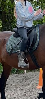 Maxam ponyzadel, Ophalen of Verzenden, Gebruikt, Recreatie