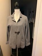 Cora Kemperman grijs damesvest, Kleding | Dames, Truien en Vesten, Maat 38/40 (M), Ophalen of Verzenden, Grijs, Cora Kemperman