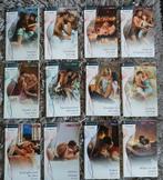 BOUQUET PASSIE REEKS VERHALEN, Verzenden, Zo goed als nieuw, Nederland