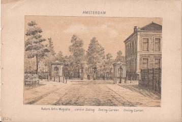 Amsterdam Natura Artis Magistra Jardin Zoölog Dierentuin 188 beschikbaar voor biedingen