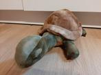Morenso schildpad knuffel 45 cm, Ophalen of Verzenden