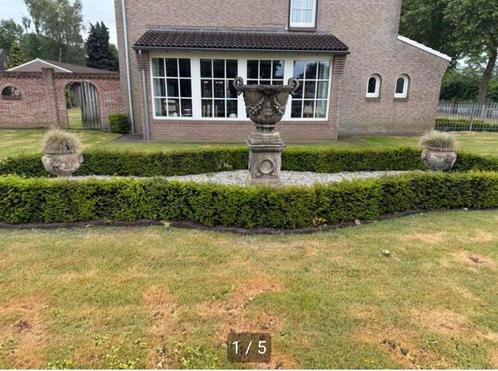 Klassieke Tuinvaas 60cm - Beton, Tuin en Terras, Tuinbeelden, Zo goed als nieuw, Overige typen, Beton, Ophalen