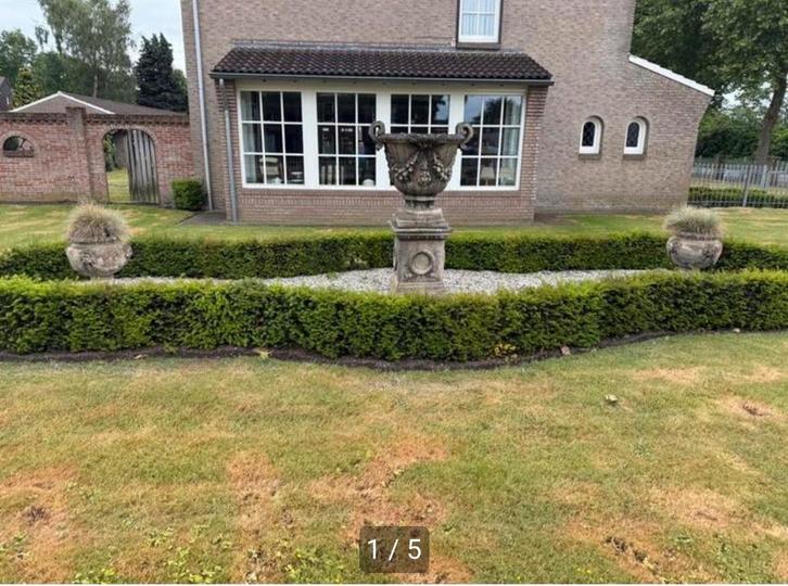 Klassieke Tuinvazen  60cm - Beton, Tuin en Terras, Tuinbeelden, Zo goed als nieuw, Overige typen, Beton, Ophalen