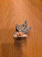 Ornamentje voor aquarium, Dieren en Toebehoren, Vissen | Aquaria en Toebehoren, Ophalen, Zo goed als nieuw, Plant(en), Steen of Hout