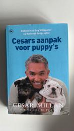 Cesar Millan - Cesars aanpak voor puppy's, Gelezen, Honden, Cesar Millan, Ophalen of Verzenden
