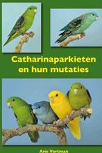 Catharina parkiet gezocht, Mannelijk, Parkiet