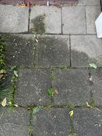 Terras tegels gratis, Ophalen, Zo goed als nieuw, Beton, Terrastegels