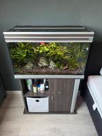 Aquarium aqualantis met toebehoren, Dieren en Toebehoren, Ophalen of Verzenden, Zo goed als nieuw, Leeg aquarium