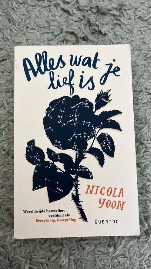 Nicola Yoon - Alles wat je lief is, Boeken, Kinderboeken | Jeugd | 13 jaar en ouder, Zo goed als nieuw, Ophalen of Verzenden