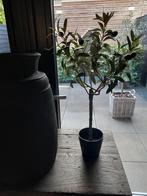 Kunst olijfboompje, Huis en Inrichting, Woonaccessoires | Kunstplanten en Kunstbloemen, Ophalen of Verzenden, Zo goed als nieuw