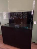 Red sea 425, Dieren en Toebehoren, Vissen | Aquaria en Toebehoren, Ophalen, Gebruikt, Leeg aquarium