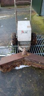 Mestschuif, Mannelijk, Geit