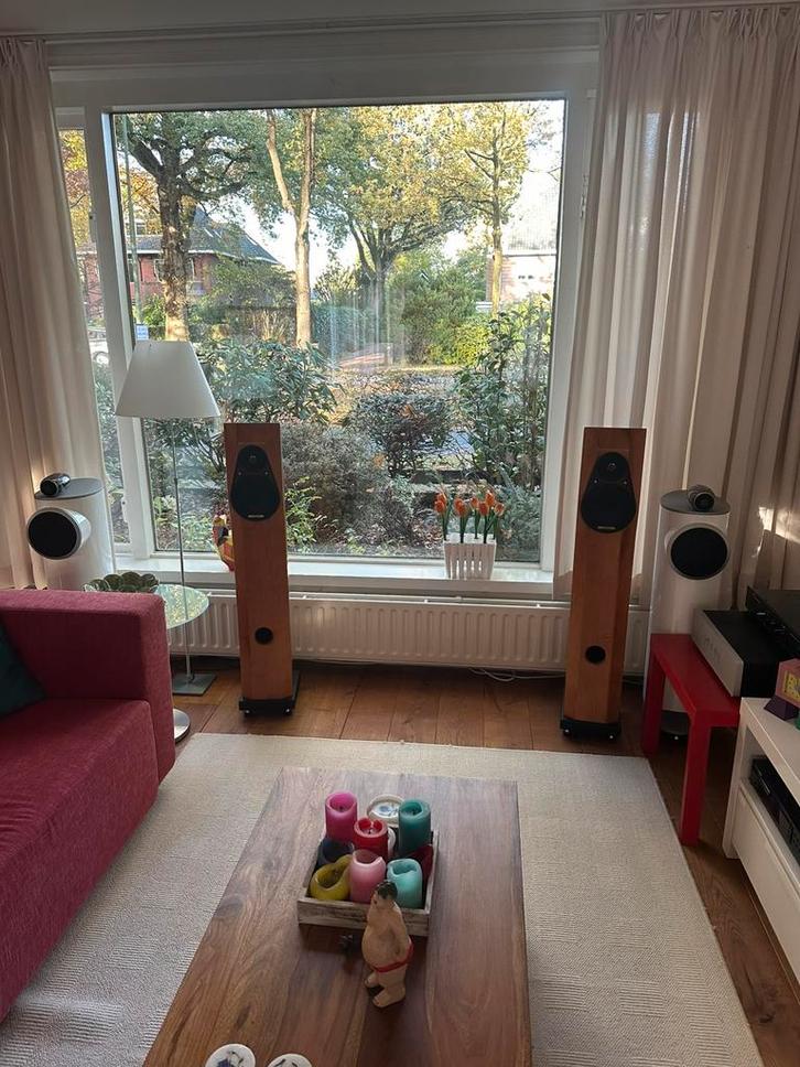 Diapason Nux te koop. Doe een leuk bod!, Audio, Tv en Foto, Luidsprekers, Front, Rear of Stereo speakers, 120 watt of meer, Overige merken